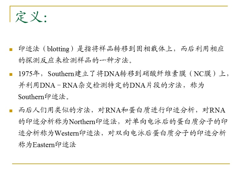 Westernblot实验技术.ppt_第2页