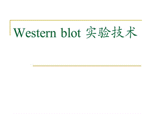 Westernblot实验技术.ppt