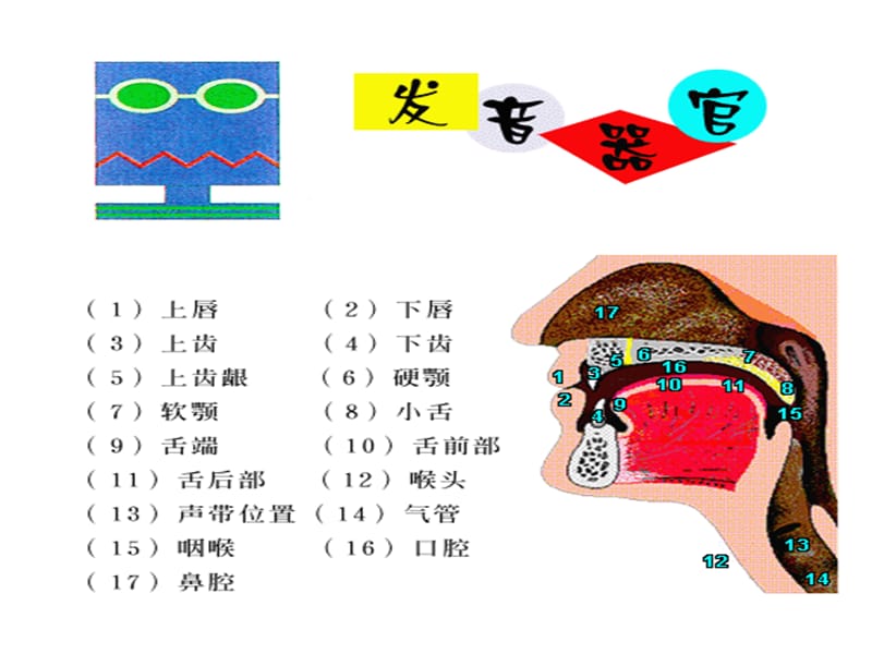 发音教学48个国际音标.ppt_第3页