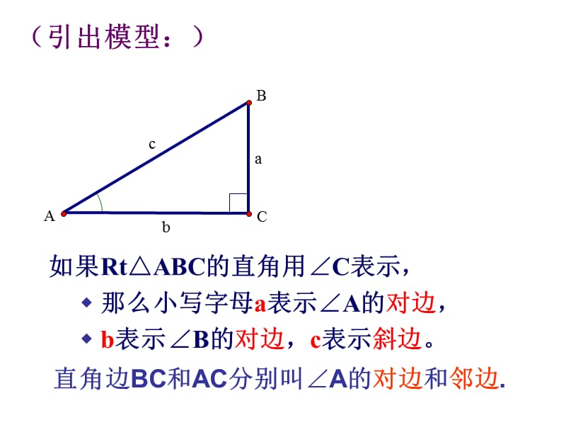 24.1锐角的三角比的意义(1).ppt_第3页