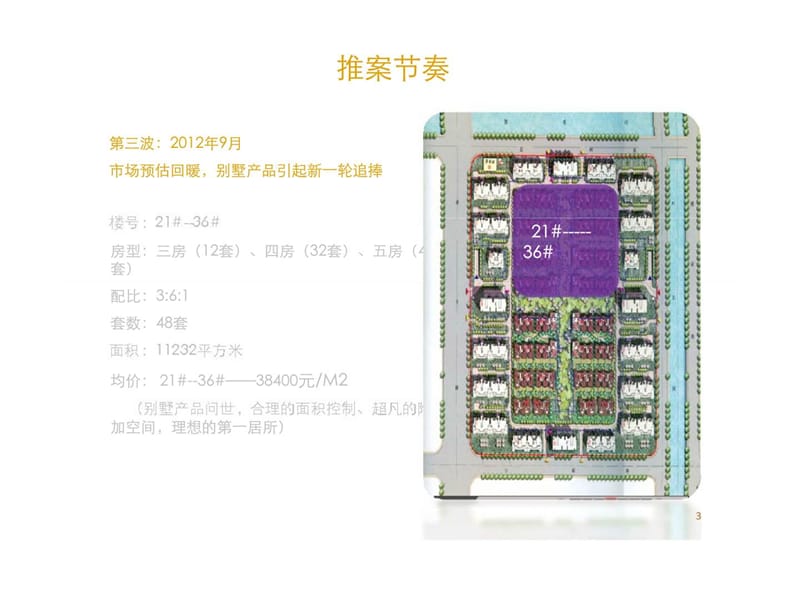 华燕置业2011年上海浦江颐城二期营销全案.ppt_第3页