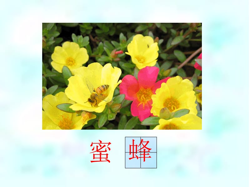 26蜜蜂引路（张绍）最后定稿.ppt_第2页