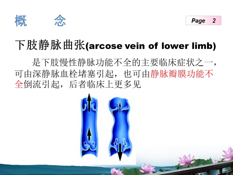 谭最老师泡沫治疗ppt课件.ppt_第2页