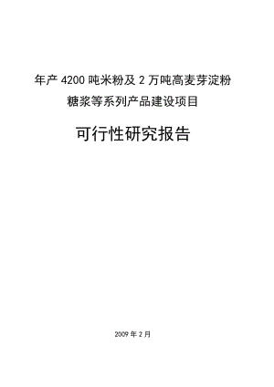 产吨米粉及万吨高麦芽淀粉糖浆等系列产品建设项目可行性研究报告（原创，用于贷款）.doc