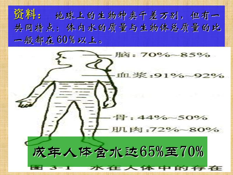 4.3水的组成1.ppt_第3页