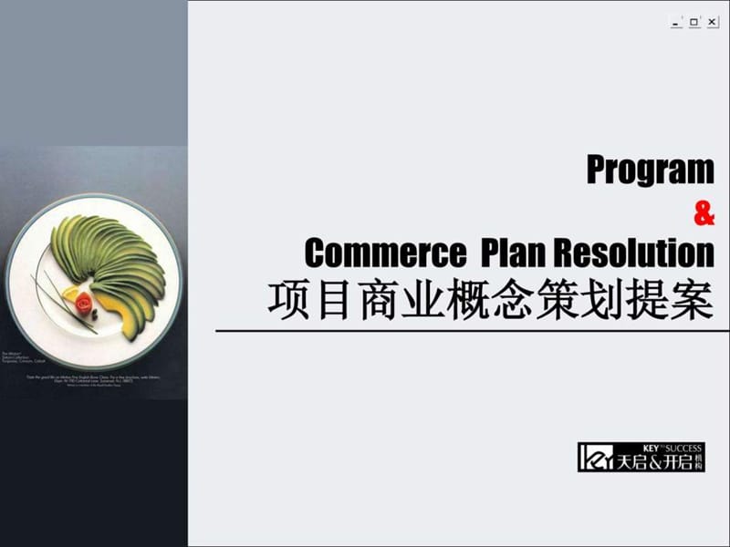 大连项目商业策划提案(终).ppt_第1页