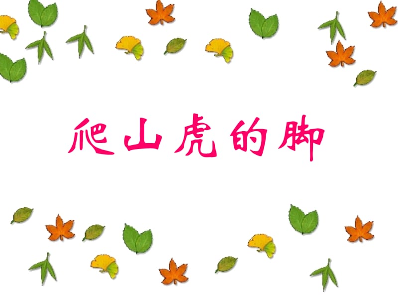 7爬山虎的脚.ppt_第1页