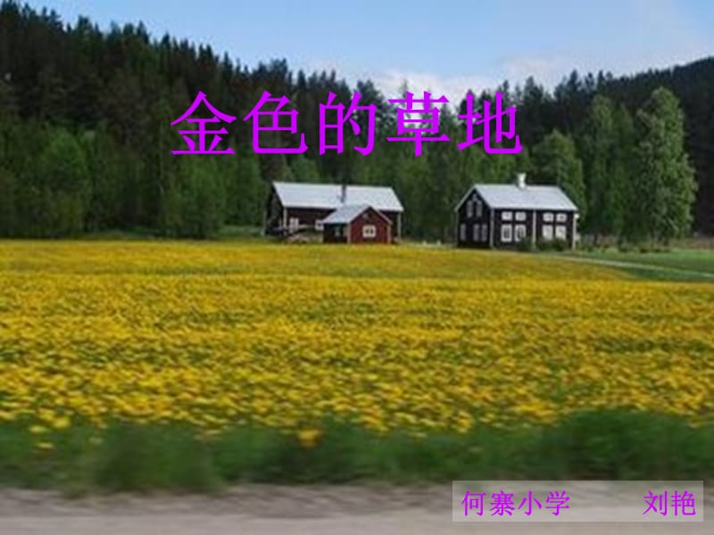 讲课《金色的草地》.ppt_第1页