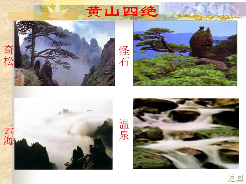 黄山奇松ppt (2).ppt_第3页