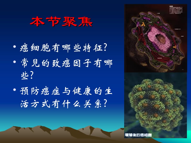 6.4细胞的癌变.ppt_第2页