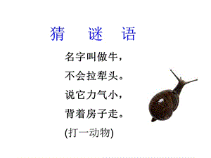 蜗牛的奖杯ppt (2).ppt