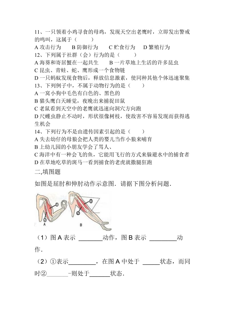 八年级上生物第二章练习题肖鹏.doc_第2页