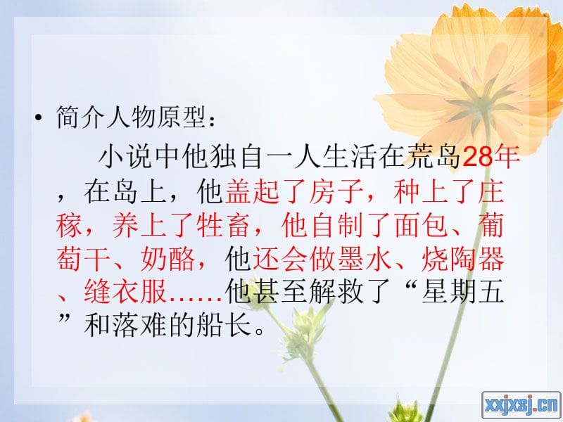 鲁滨逊漂流记.ppt_第2页