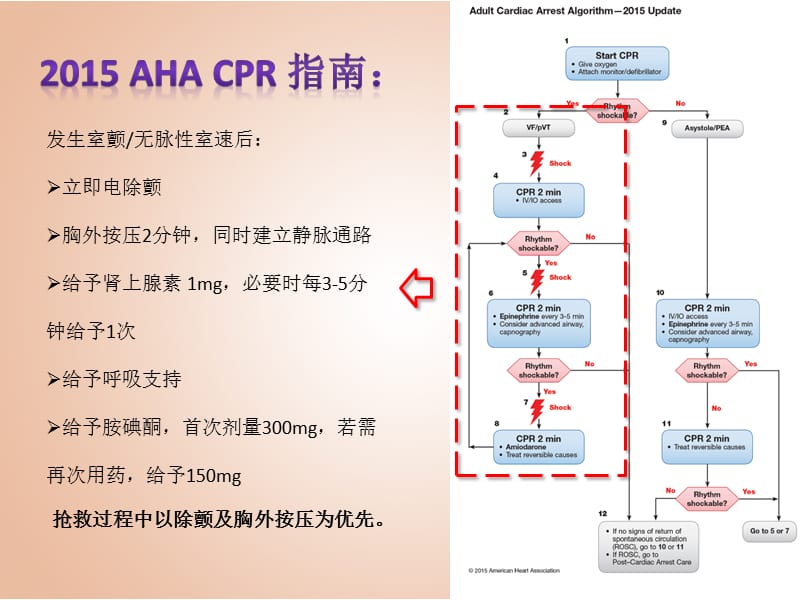 心肺复苏常用抢救用药.ppt_第2页