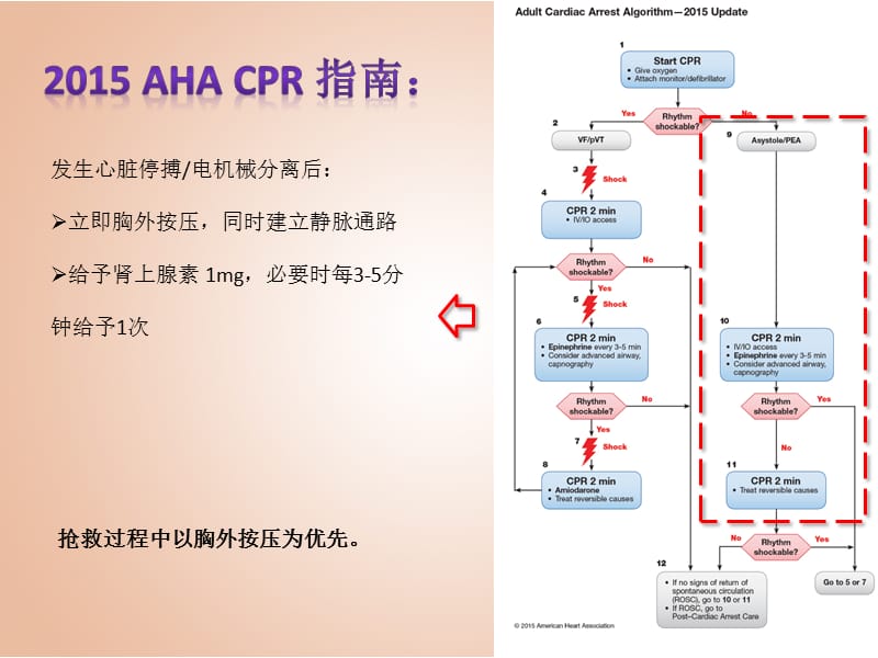 心肺复苏常用抢救用药.ppt_第3页