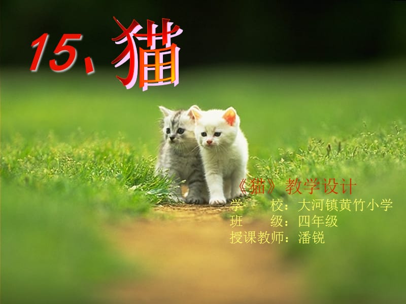 黄竹四年级语文上册15.猫.ppt_第1页