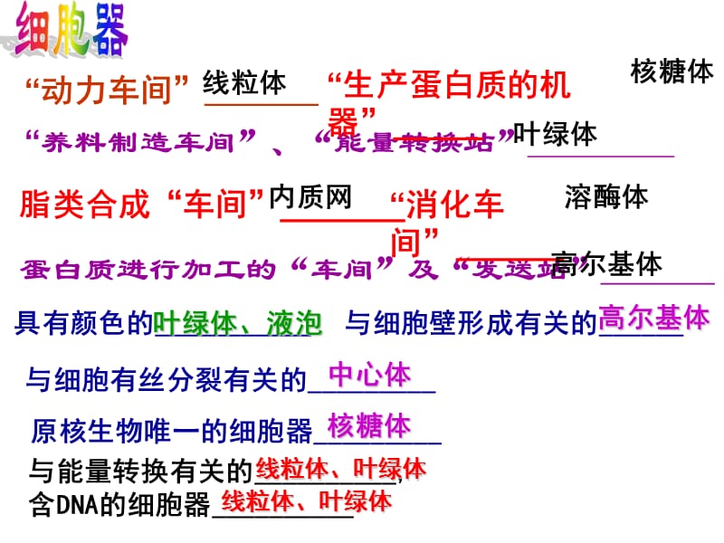 高三冲刺阶段部分重点章节节复习章节件.ppt_第2页