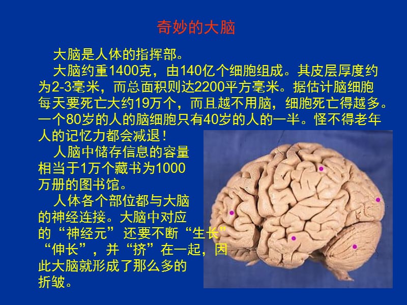 根据网络资料编辑制作手动翻页.ppt_第2页