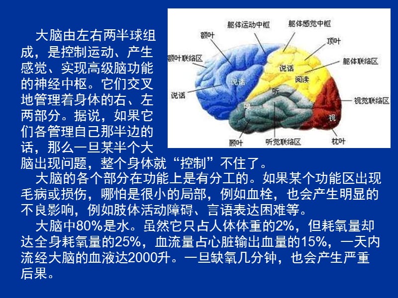 根据网络资料编辑制作手动翻页.ppt_第3页