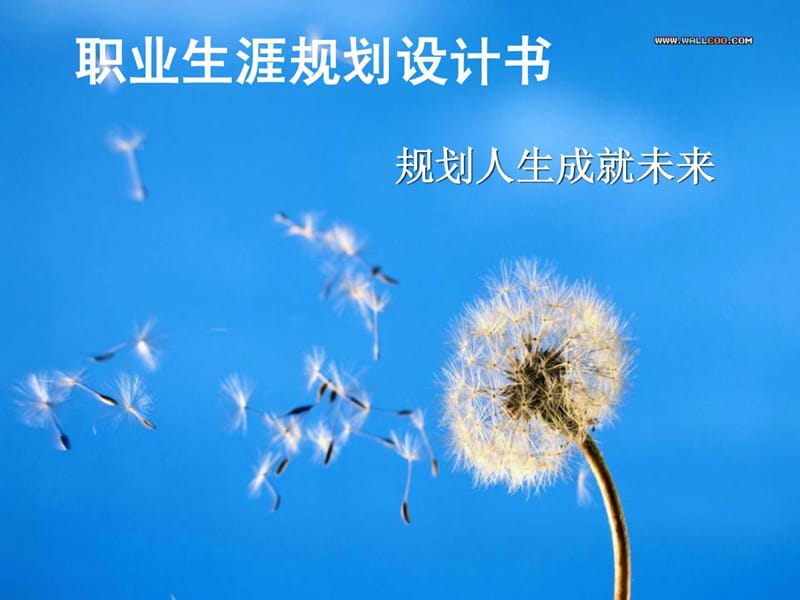 大学生职业规划ppt.ppt_第1页