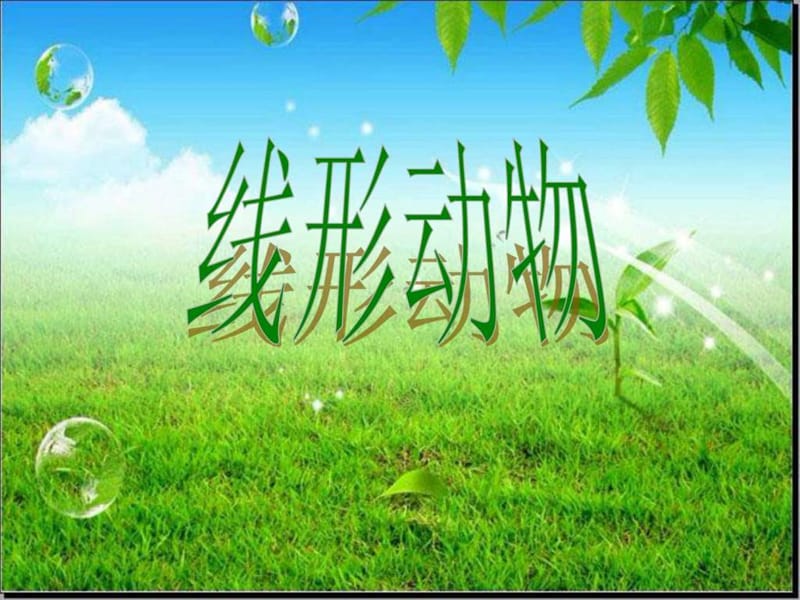 初中生物《线形动物和环节动物》教学课件【最新精品】_....ppt.ppt_第2页