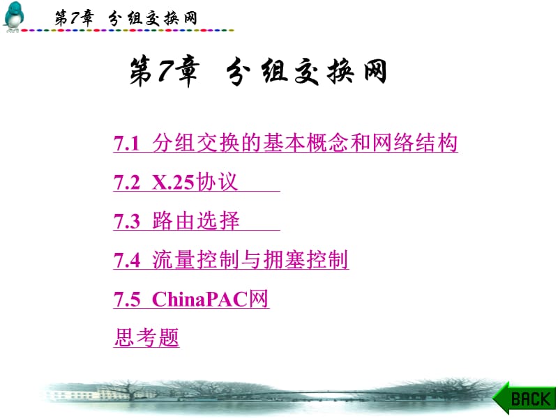 分组交换.ppt_第1页