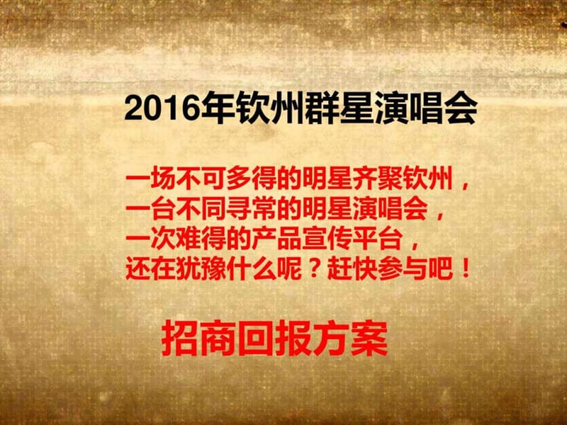 2016年钦州群星演唱会招商方案(A).ppt.ppt_第2页