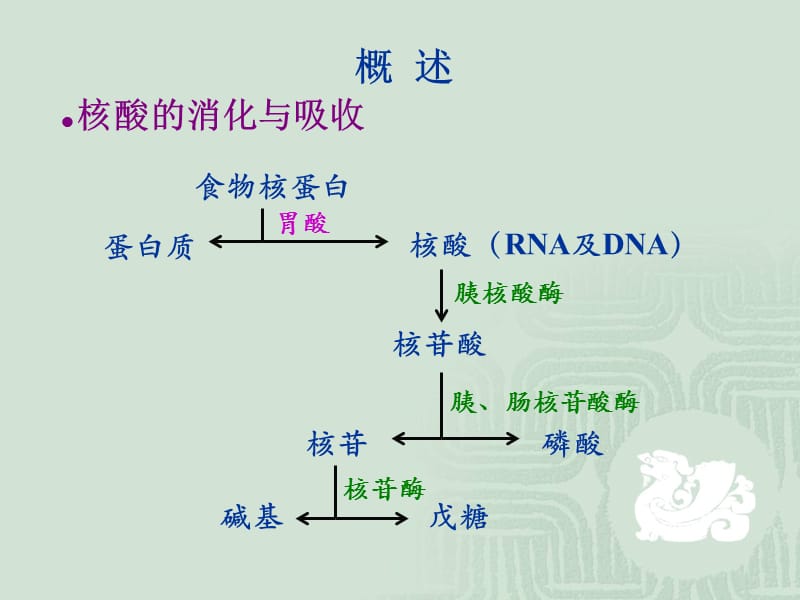 第八章.ppt_第2页