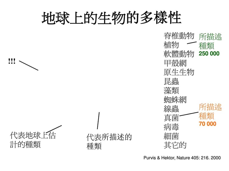 植物和真菌的多样性和保护-南台科技大学.ppt_第2页