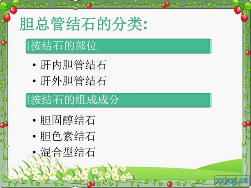 护理查房-胆总管结石.ppt_第3页