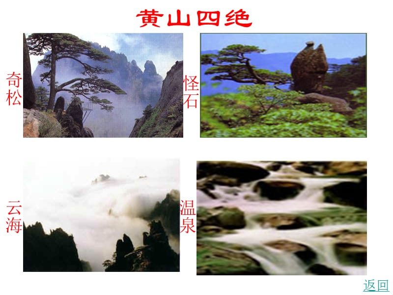 hu黄山奇松.ppt_第3页