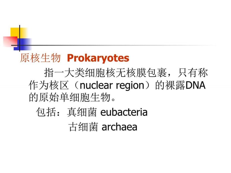 化学微生物学课件第2章原核_图文.ppt.ppt_第2页