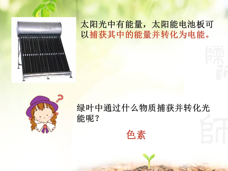 第4部分能量之源光和光合作用.ppt_第2页