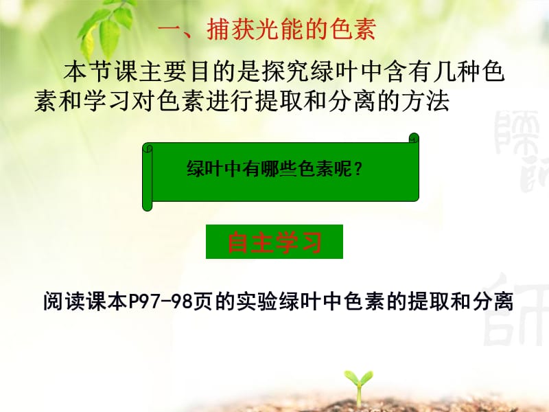 第4部分能量之源光和光合作用.ppt_第3页