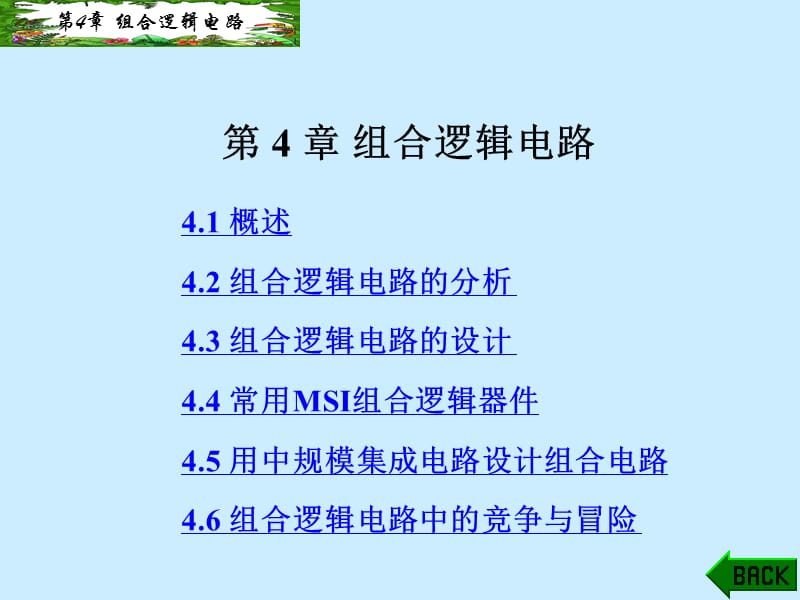 第4章组合逻辑电路.ppt_第1页