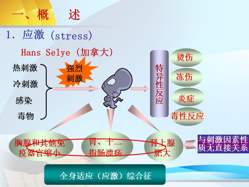 第10章应激.ppt_第2页