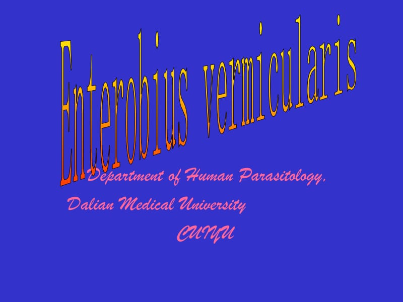 蛲虫CAI教学.ppt_第1页