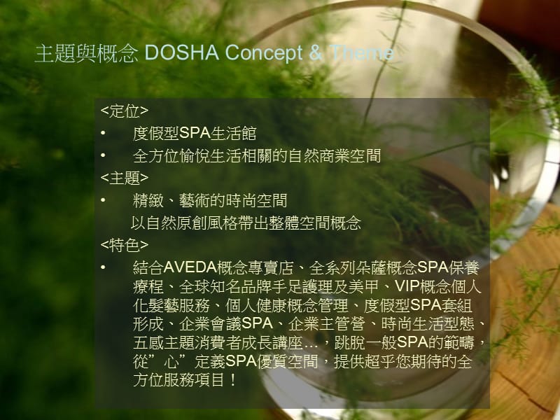 朵萨DOSHA简介.ppt_第3页