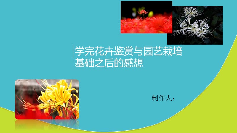 花卉鉴赏与园艺栽培.ppt_第1页