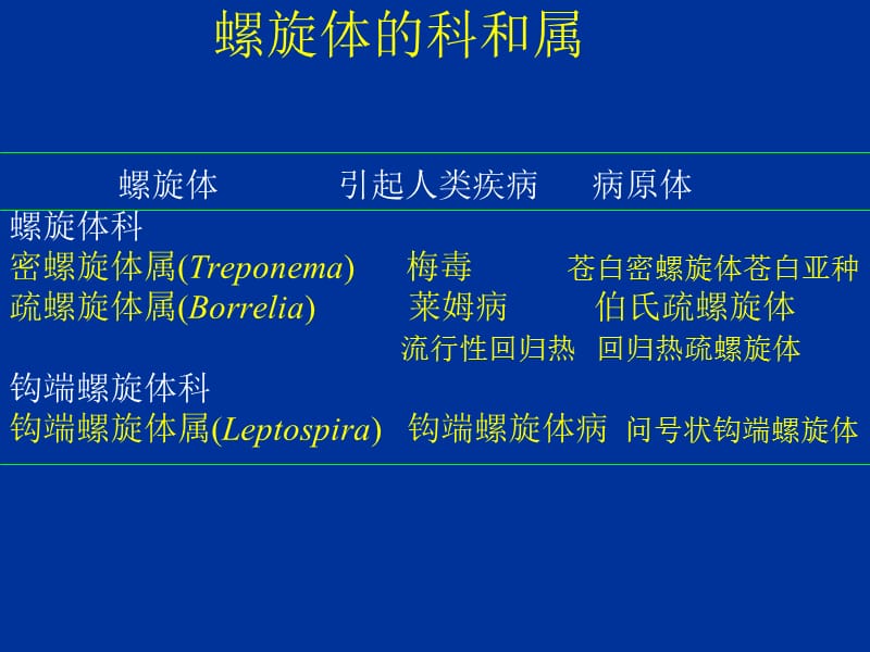 第20章螺旋体spirochete.ppt_第2页