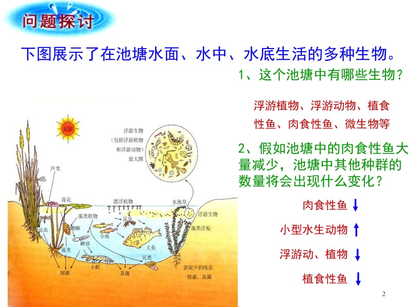 群落的基本特征与结构.ppt_第2页