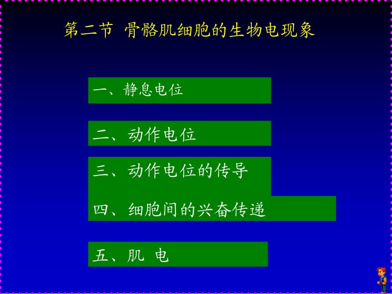 解剖学12.ppt_第1页