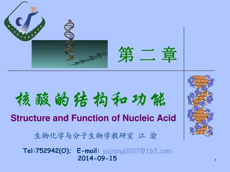 核酸的结构与功能-1(临床3班).ppt_第1页