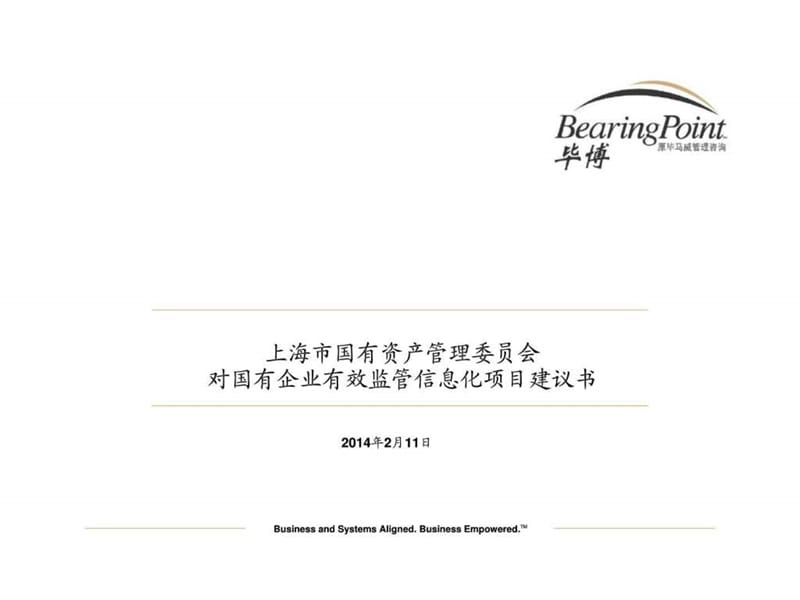 对国有企业有效监管信息化项目建议书.ppt_第1页