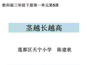 教科版三年级下册一单元5课.ppt