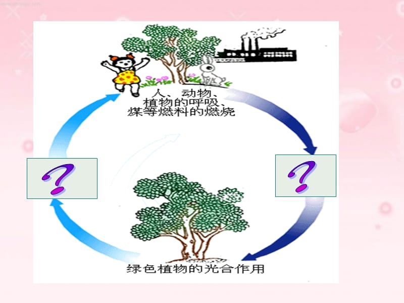 二氧化碳制法的研究.ppt_第2页