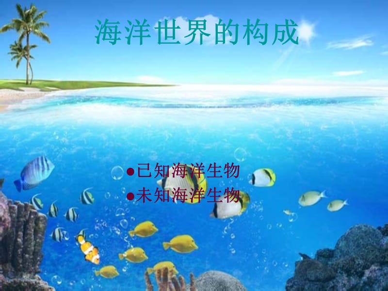 多彩的海洋世界.ppt_第2页