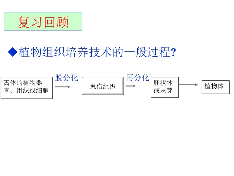 动物细胞工程2.ppt_第2页