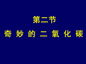 第二奇妙的二氧化碳.ppt