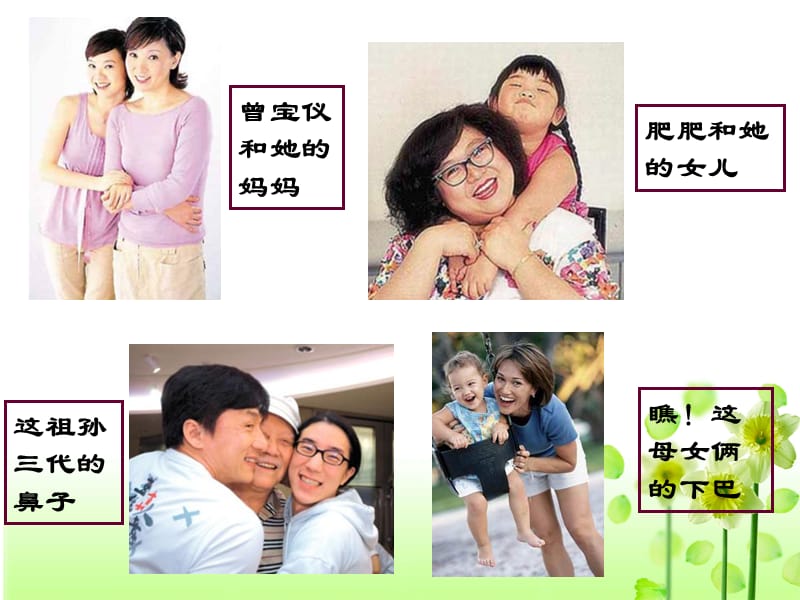 DNA是主要的遗传物质(2).ppt_第1页